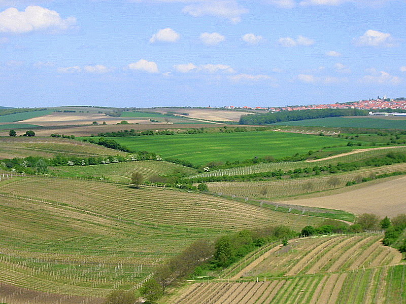 Obrzek produktu